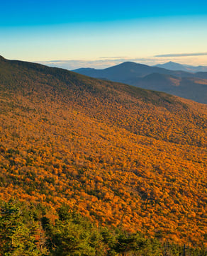 Hike the Green Mountains